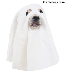 Halloween DIY Ghost Costume for your Dog