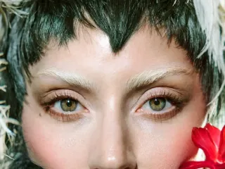 Makeup trends - Bleached Eyebrows