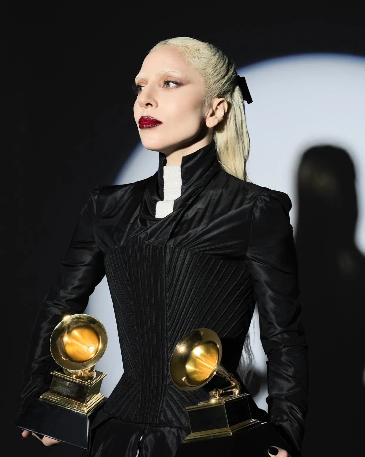 Platinum Hair Bleached Eyebrows
