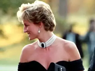 Princess Diana Iconic Revenge Dress Auction