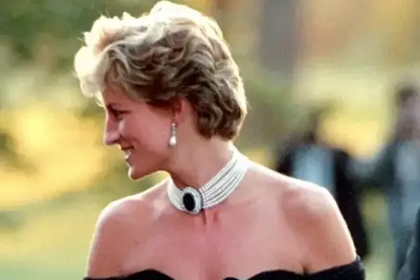 Princess Diana Iconic Revenge Dress Auction