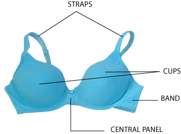 Basic Elements of a Bra: Band, Cups, Panel and Straps