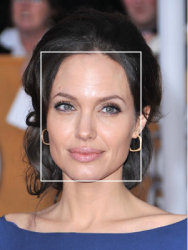 Angelina Jolie, an example of a square face shape