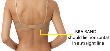 A Properly Fitting Bra: How to Check the Band, Cups and Straps