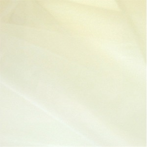 A swatch of transparent crisp silk organza