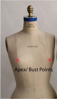 The apex or bust point on a dress form