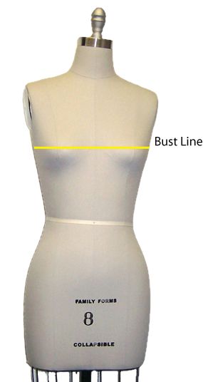 The bust line marked across a dress form