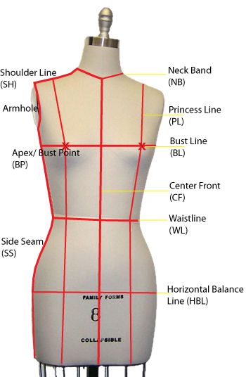 A dress form showing all landmark lines together