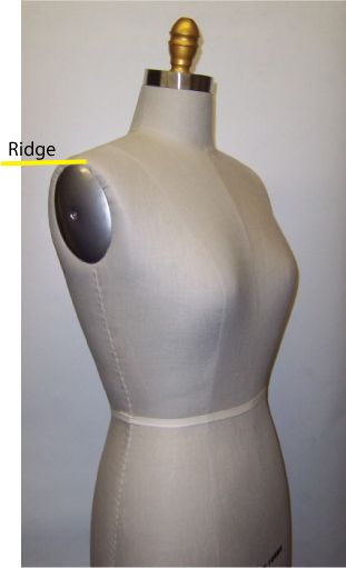 The armhole ridge on a dress form