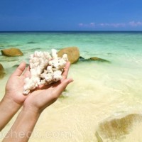 Coral Sunscreen Pills