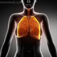 Lung Cancer Detected Nanopore Sensor