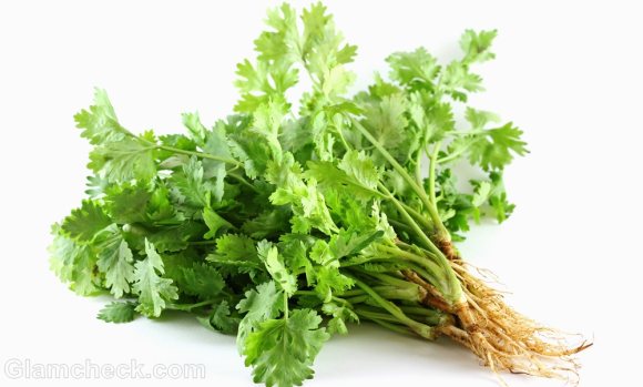 Health Benefits Coriander leaves