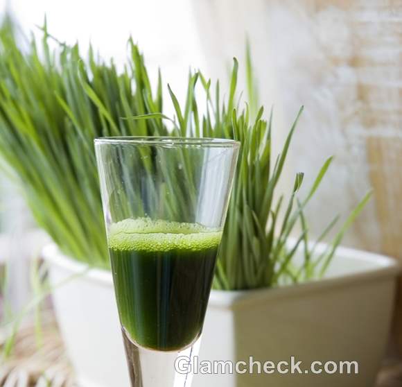 Health Benefits of Wheatgrass