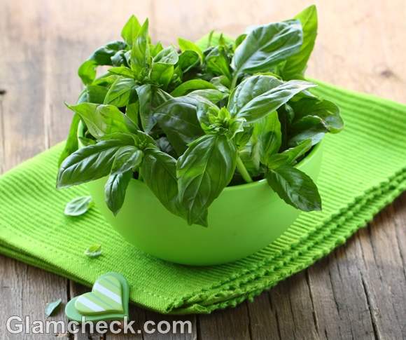 health benefits of basil tulsi