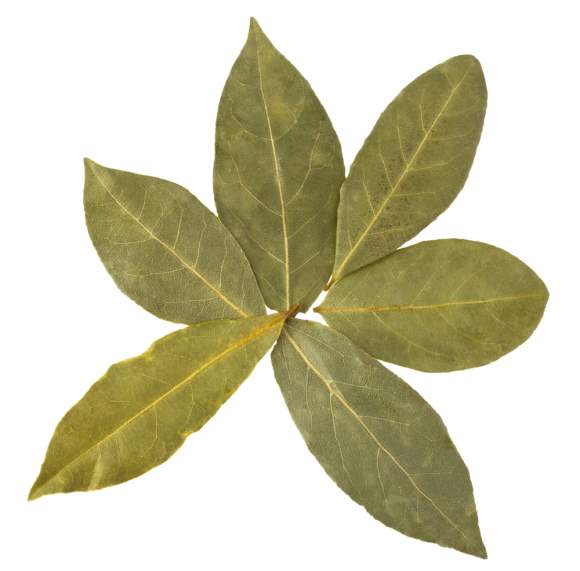 Bay Leaf Health Benefits